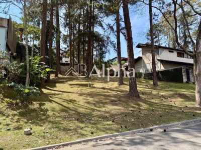 Terreno, 800 m² - Foto 2