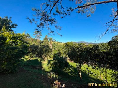 Chácara, 5 quartos, 4000 m² - Foto 4