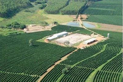 Fazenda, 530 hectares - Foto 3