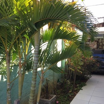Casa, 4 quartos, 186 m² - Foto 2