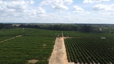Fazenda, 10 quartos - Foto 4