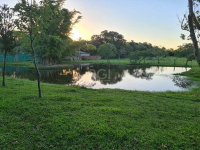 Chácara, 3 quartos, 6 hectares - Foto 2