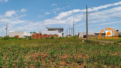 Chácara, 2 hectares - Foto 2