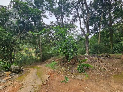 Chácara, 2 quartos, 10000 m² - Foto 3