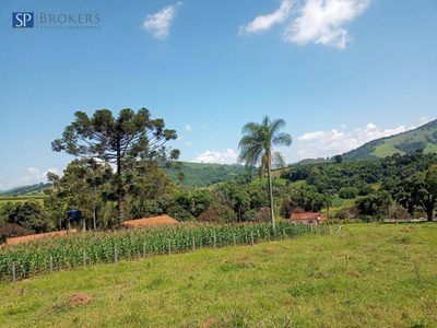 Sítio, 4 quartos, 4 hectares - Foto 1
