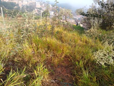 Terreno, 360 m² - Foto 1