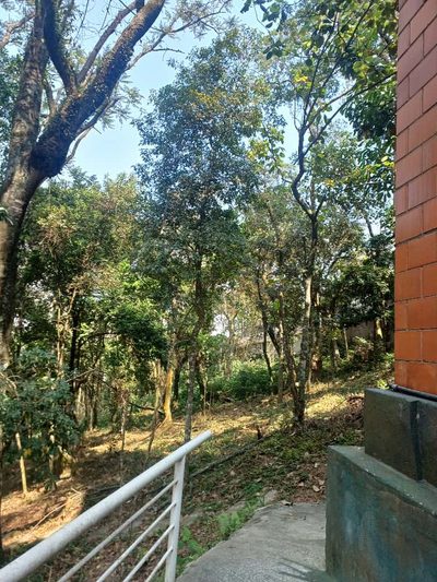Apartamento, 3 quartos - Foto 4