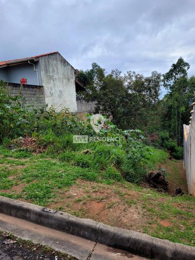 Terreno, 250 m² - Foto 5