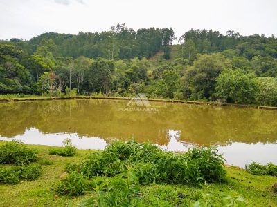 Fazenda, 40 hectares - Foto 1