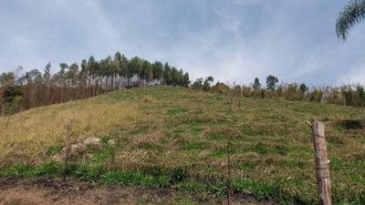Terreno, 2 hectares - Foto 2