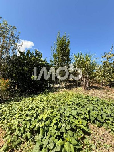 Chácara, 2 quartos, 1867 m² - Foto 3