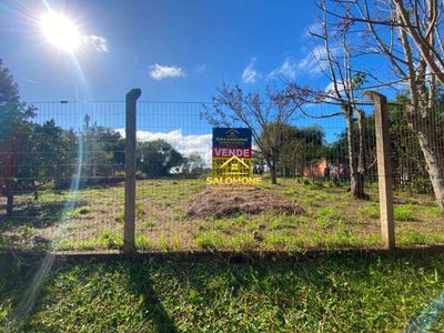 Sítio, 2 quartos, 1200 m² - Foto 5