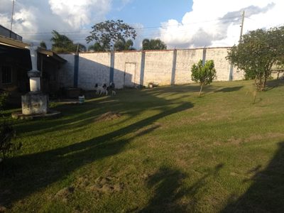 Sítio, 3 quartos, 704 m² - Foto 4
