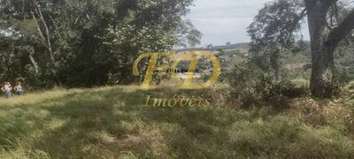 Terreno, 4 hectares - Foto 5