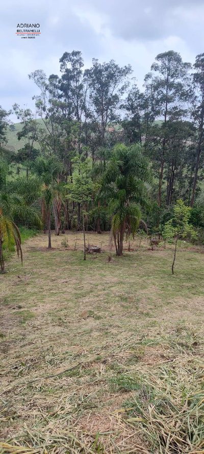 Terreno, 2000 m² - Foto 4