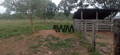 Fazenda, 673 hectares - Foto 2