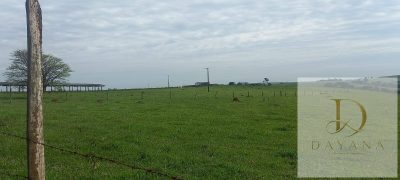 Terreno, 38 m² - Foto 3