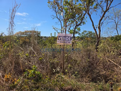 Fazenda, 2954 m² - Foto 1