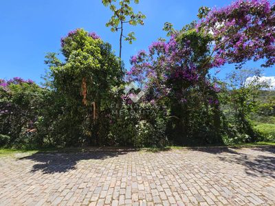 Terreno, 1377 m² - Foto 3