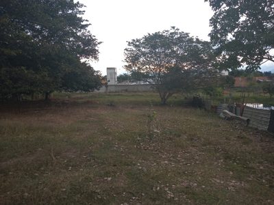 Terreno, 3100 m² - Foto 4