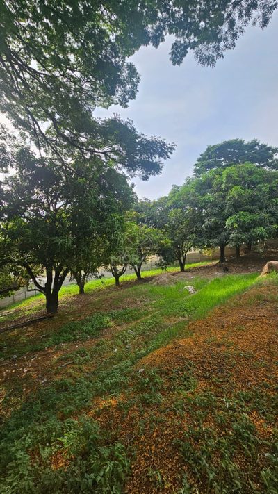 Terreno, 400 m² - Foto 2