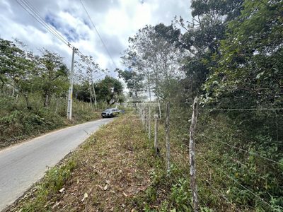 Terreno, 589 m² - Foto 5