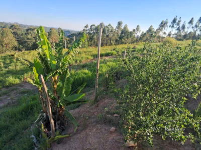 Terreno, 613 m² - Foto 1