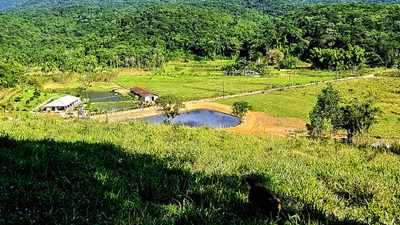 Sítio, 4 quartos, 14 hectares - Foto 4