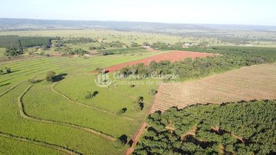 Fazenda, 646 hectares - Foto 3