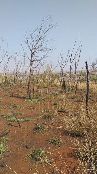 Terreno, 1500 m² - Foto 4