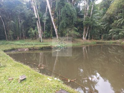 Chácara, 3 quartos - Foto 4
