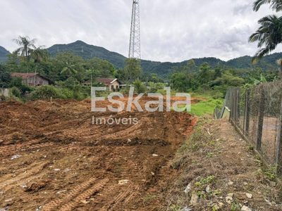 Terreno, 3 hectares - Foto 4