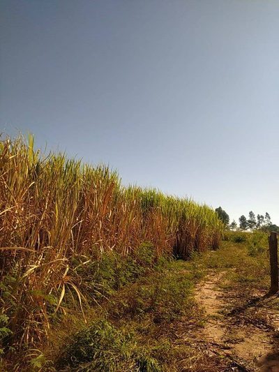 Terreno, 27 m² - Foto 2