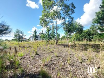 Terreno, 565 m² - Foto 4
