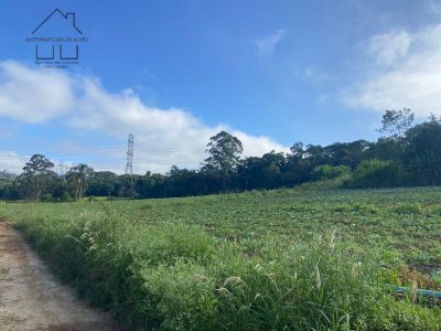 Terreno, 19 hectares - Foto 4