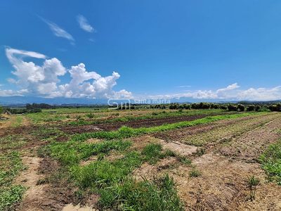 Terreno, 720 m² - Foto 3