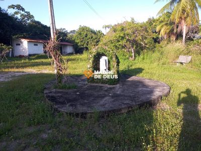 Terreno, 4 hectares - Foto 3