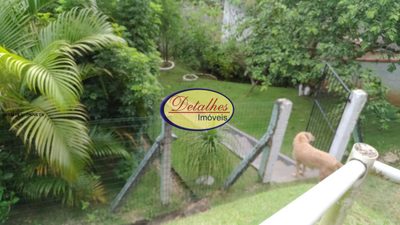 Casa, 4 quartos - Foto 4