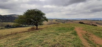 Terreno, 130 hectares - Foto 5