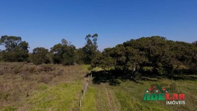 Sítio, 99999 m² - Foto 3