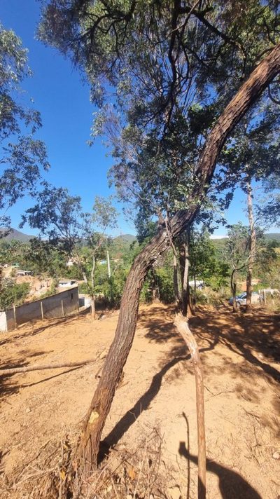 Chácara, 1 quarto - Foto 4