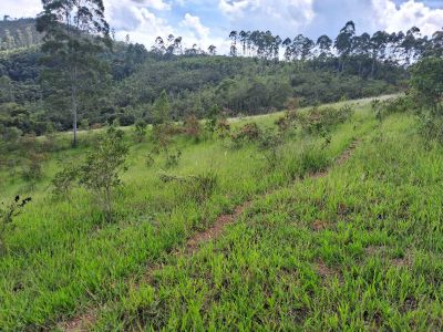 Fazenda, 179 hectares - Foto 3