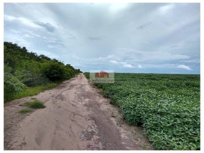 Fazenda, 1 hectares - Foto 1