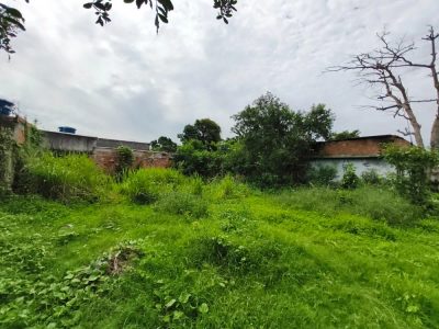 Terreno, 525 m² - Foto 5