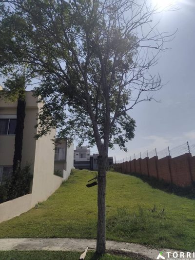 Loteamento e Condomínio, 222 m² - Foto 5