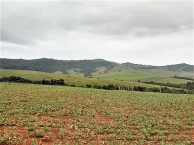 Fazenda, 427 hectares - Foto 3