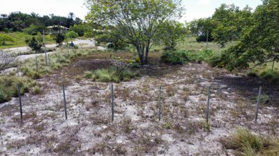 Terreno, 600 m² - Foto 3