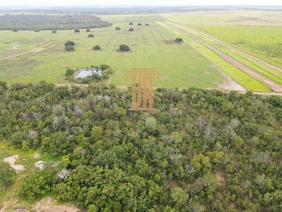Fazenda, 1 hectares - Foto 2