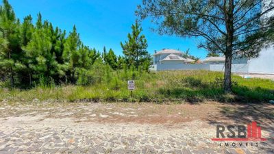 Terreno, 300 m² - Foto 5