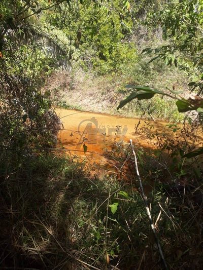 Terreno - Foto 5